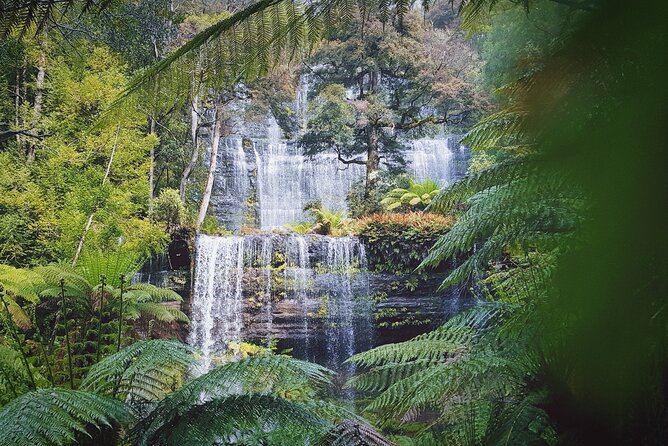 10 Days Ultimate Guided Tour of Tasmania - Comfort Tour - Day 10: Port Arthur plus the Tasman Peninsula’s viewpoints
