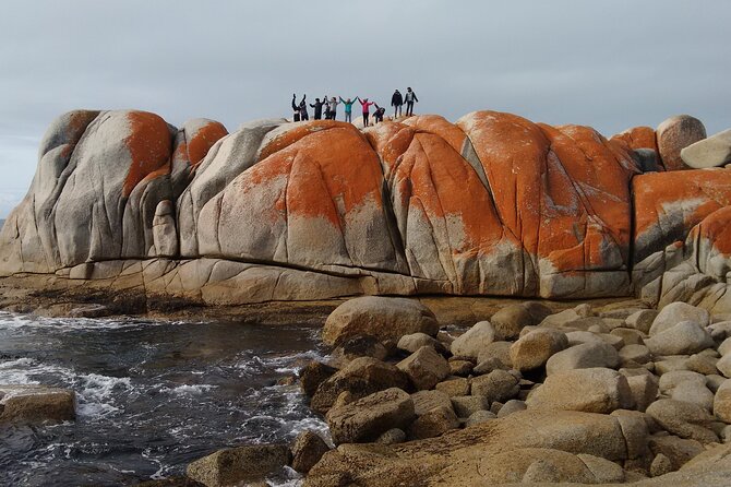 10 Days Ultimate Guided Tour of Tasmania - Comfort Tour - Your guide and group size: why it matters on a 10-day circuit