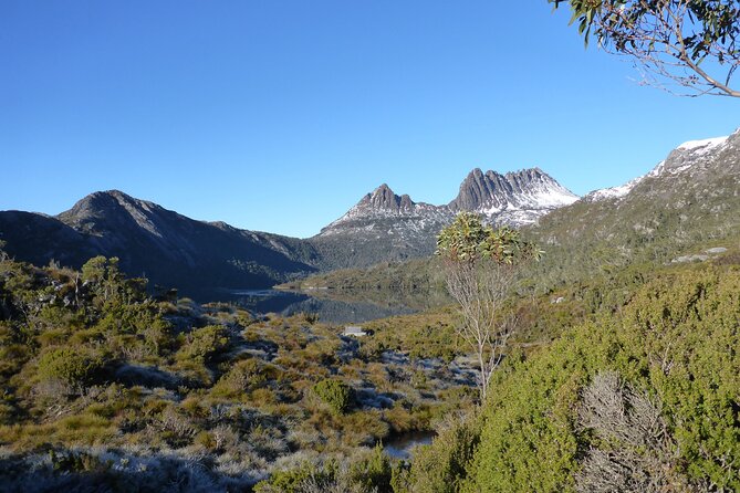 2 day Cradle Mountain and Wineglass Bay - Cradle Mountain: Dove Lake walking time and wombat odds