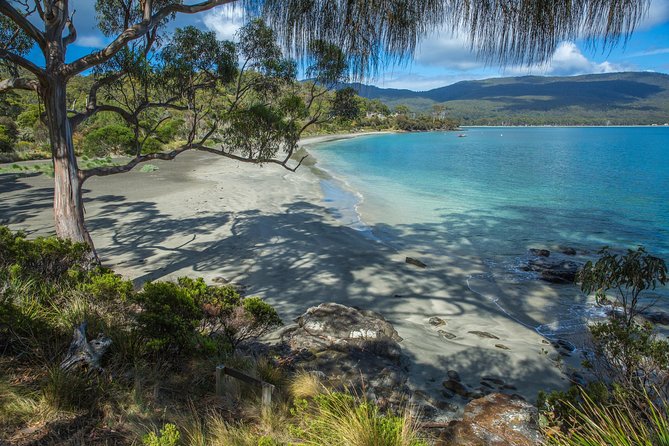 2 Day Tasmanian Highlights Tour - Bruny Island & Port Arthur - What the tour actually feels like: pacing, group size, and transportation comfort