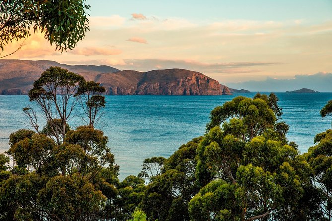 2 Day Tasmanian Highlights Tour - Bruny Island & Port Arthur - Should you book this Bruny Island and Port Arthur highlights tour?