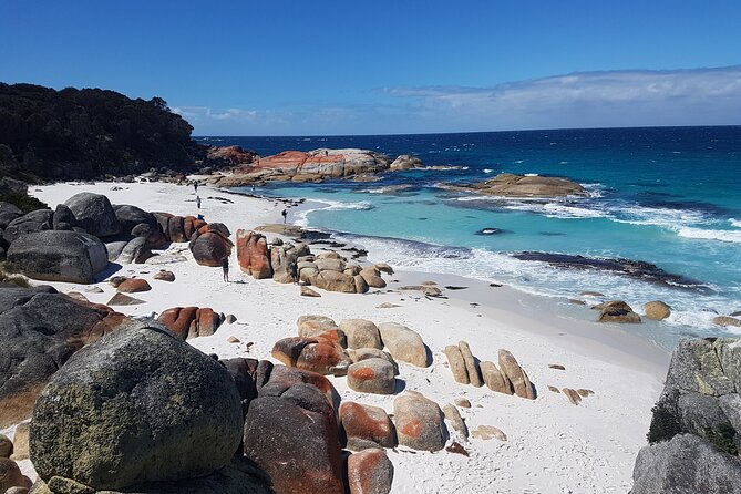 4 Day Wild Tasmania Tour / Wildlife, Nature, Hiking / Inc. Accom - A small-group Hobart loop that actually leaves the city behind