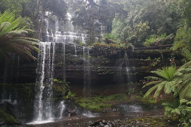 4 Day Wild Tasmania Tour / Wildlife, Nature, Hiking / Inc. Accom - Comfort and lodging: three nights in better-than-expected style