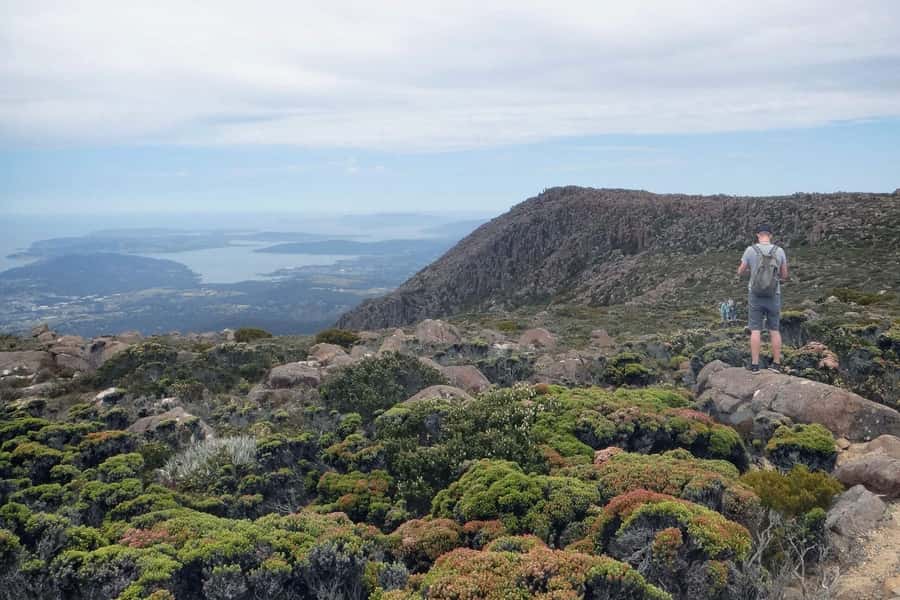 48-Hour Hobart City Loop Tour and Mt Wellington - Where to Stop on the Mountain: Five Bus Stops for Walks or Bikes