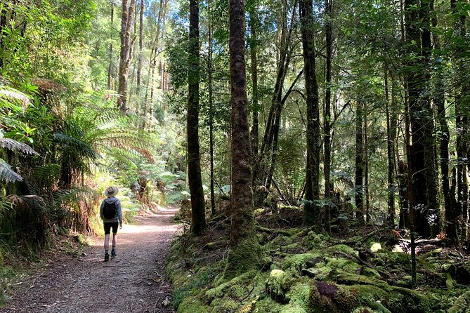 5-Day Best of Tasmania Tour from Hobart - Day 1: Rainforests, Lake St Clair, and the Wild West of Queenstown