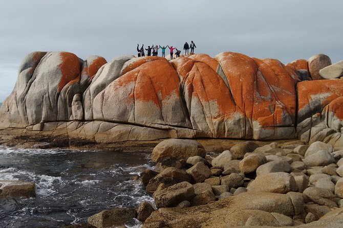 6-Day Tasmanian Explorer Adventure Tour from Hobart - Day 1: Tall trees, Lake St Clair, Franklin-Gordon wild rivers, then Strahan