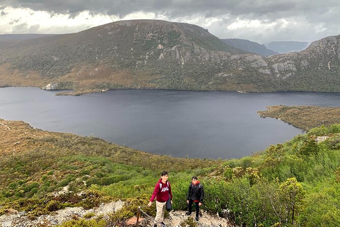 6-Day Tasmanian Explorer Adventure Tour from Hobart - Day 3: Cradle Mountain walk choices, Sheffield murals, then Launceston night