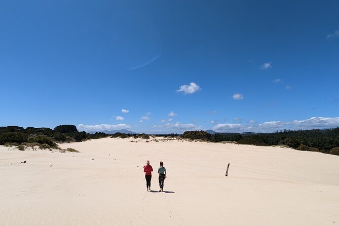6-Day Tasmanian Explorer Adventure Tour from Hobart - Day 4: Cataract Gorge in the city, then East Coast lunch, Bay of Fires, and penguin-area vibes