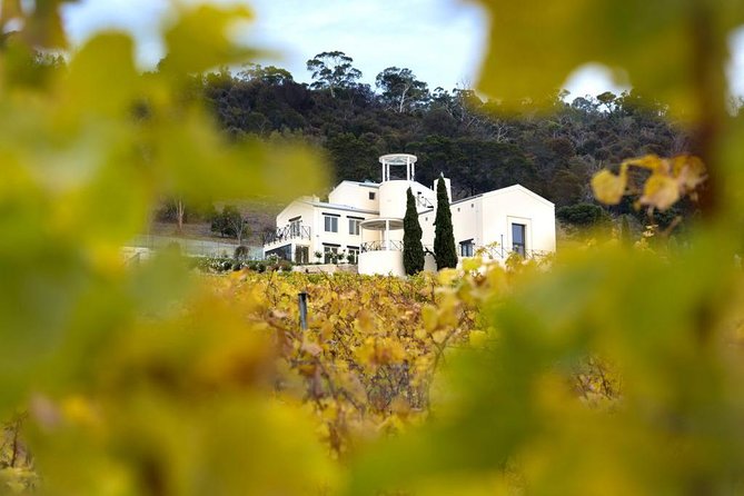7- 8 Hour StelaVino Guided Wine Tours From Hobart, Tasmania - A Hobart wine tour that teaches you how to taste, not just what to order