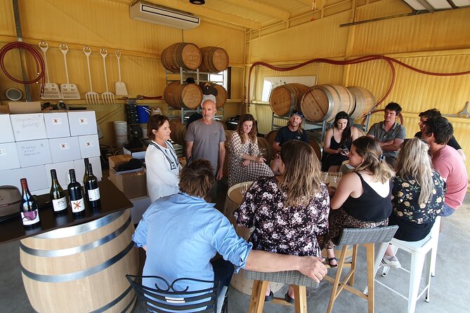7- 8 Hour StelaVino Guided Wine Tours From Hobart, Tasmania - Cellar door stops: why minimum four matters