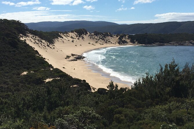 7-Day Super Value Tour of Tasmania: Explore Tasmania's West and East Coasts - Day 5: Freycinet early for Wineglass Bay views and Cape Tourville angles