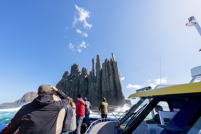 90 minute Cape Raoul Cruise and Port Arthur Historic Site entry - Wildlife spotting: the fun (and the honest limits)