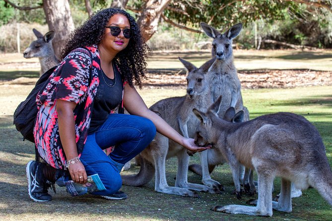 BIG 3 Tasmania - Port Arthur, Wineglass Bay, Cradle Mountain - Day 3: Sheffield’s art stop, Cradle Mountain’s Dove Lake walk, and sweet farm finishes