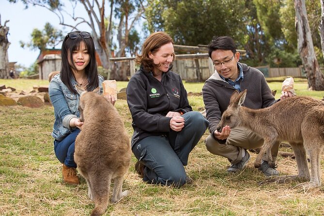 Bonorong Wildlife Park and Richmond Afternoon Tour from Hobart - Key things that make this tour worth your afternoon
