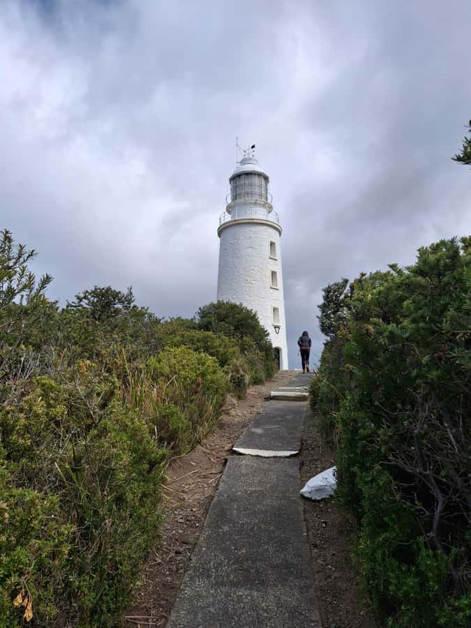 Bruny Island: Cape Bruny Lighthouse Tour - Climbing the original cast iron spiral stairs