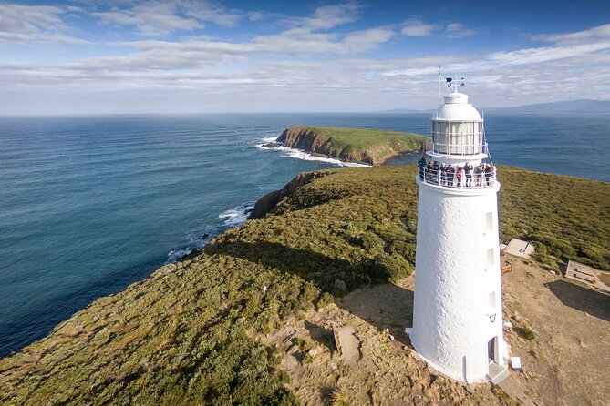 Bruny Island Food, Sightseeing, Guided Lighthouse Tour & Lunch - Key highlights to pencil in