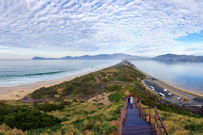 Bruny Island Food, Sightseeing, Guided Lighthouse Tour & Lunch - Lunch at Bruny Island Hotel: what to expect when you’re paying for a full day