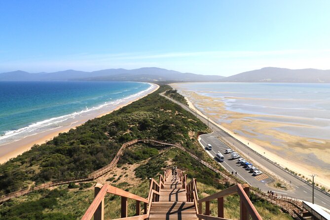 Bruny Island Small-Group Guided Tour From Hobart - From Princes Wharf to the ferry: how the day really starts