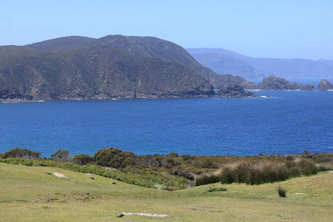 Bruny Island Small-Group Guided Tour From Hobart - North Bruny, the ferry back, and why the small group matters