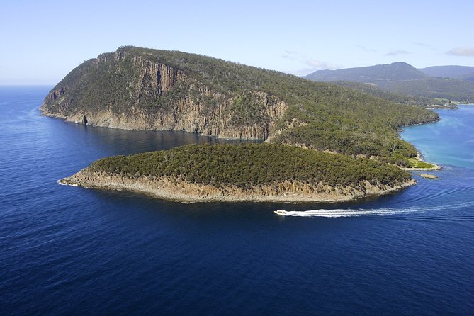 Bruny Island Wilderness Cruise from Adventure Bay, Bruny Island - Adventure Bay start: what the 3-hour cruise actually looks like