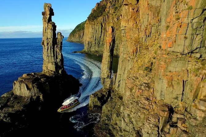 Bruny Island Wilderness Cruise from Adventure Bay, Bruny Island - Wildlife you might spot: what the crew actively looks for