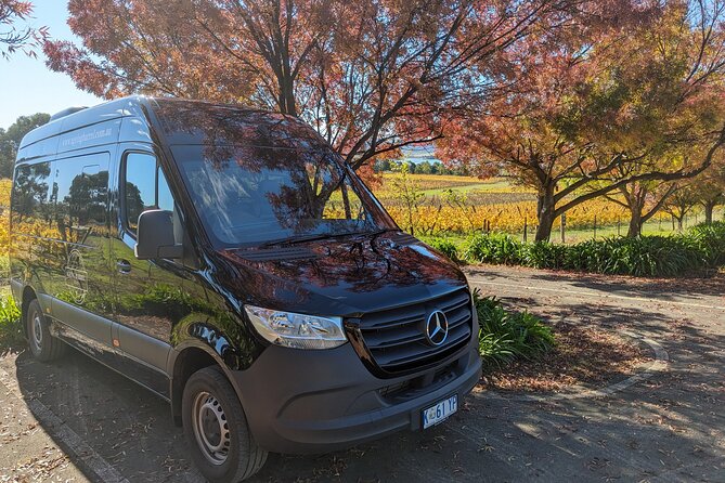 Coal River Valley Wine Tour - The Mercedes pickup: less stress, more chat time