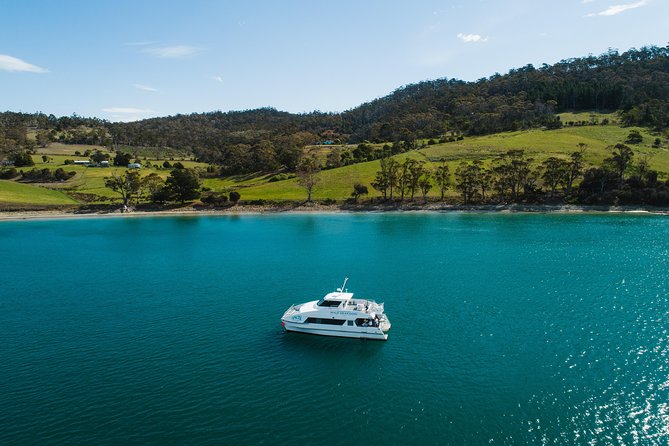 Deep-to-Dish: Tasmanian Seafood Experience - Price and value: why $416 can make sense here