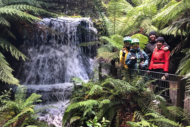 Easy Bike Tour - Mt Wellington Summit Descent & Rainforest Ride - Key moments that make this ride work