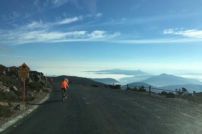 Easy Bike Tour - Mt Wellington Summit Descent & Rainforest Ride - Rainforest ride start: 15 minutes by bus to begin the 11 km track