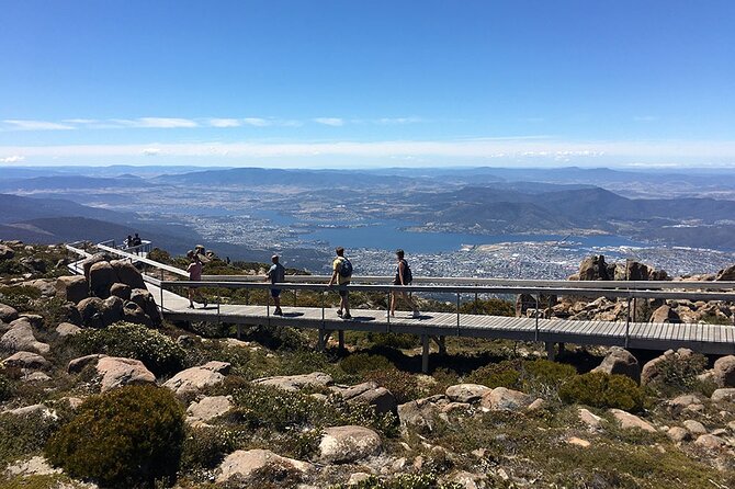 Easy Bike Tour - Mt Wellington Summit Descent & Rainforest Ride - What “easy” means here: wide dirt, gentle gradients, and real guidance