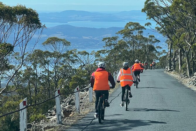 Easy Bike Tour - Mt Wellington Summit Descent & Rainforest Ride - Dirt + waterfall + reservoirs: what you’ll actually notice