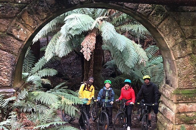 Easy Bike Tour - Mt Wellington Summit Descent & Rainforest Ride - Your guides: the real value of Rich, Phil, Zoe, and the crew