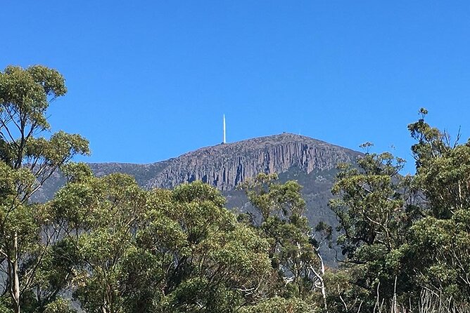 Easy Bike Tour - Mt Wellington Summit Descent & Rainforest Ride - Mt Wellington summit: views first, then the 6 km descent
