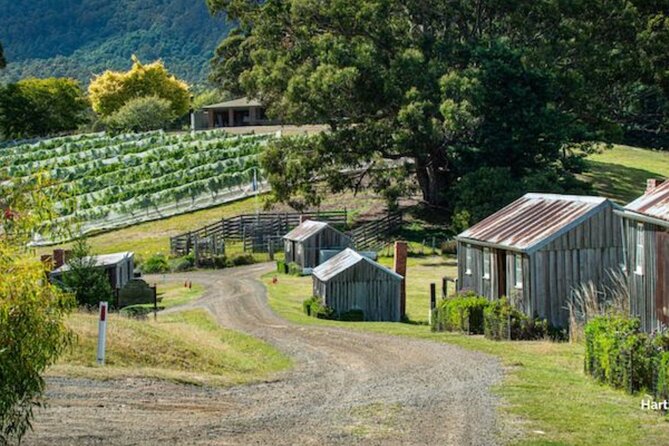 Food & Wine Taste of Southern Tasmania Tour - Summer Kitchen Bakery stop: organic sourdough and bakery comfort
