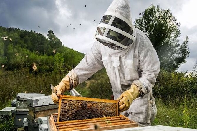 Food & Wine Taste of Southern Tasmania Tour - Huonville and The Honey Pot: bees, pollination, and raw honey