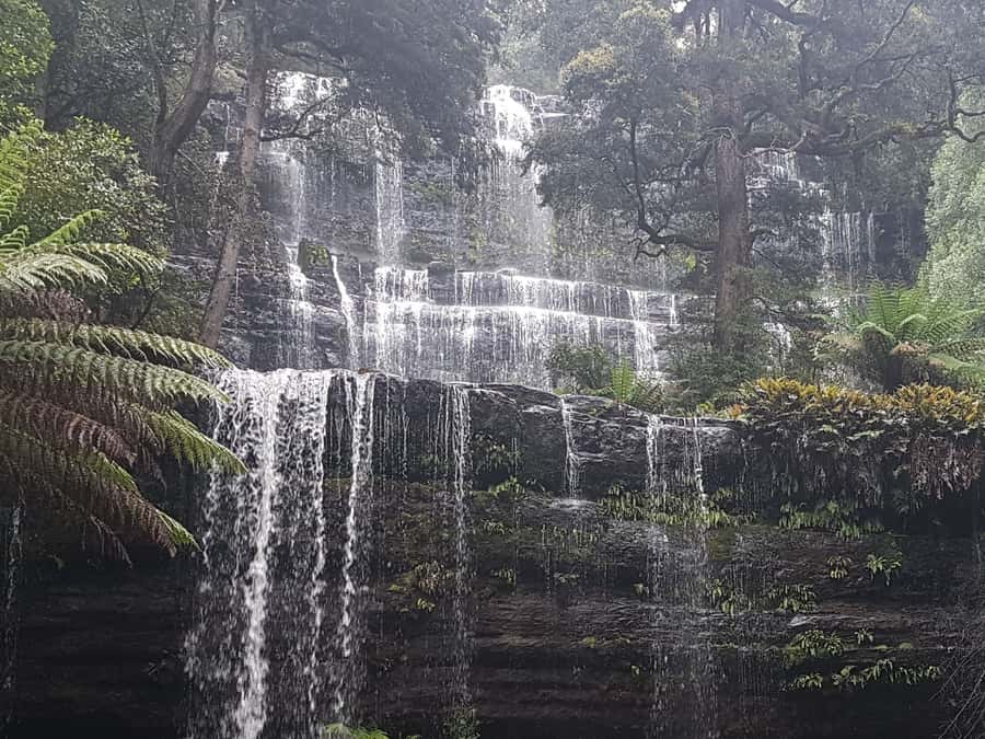 From Hobart: 2 Day Cradle Mountain Tour - Russel Falls and Platypus Spotting by the Water