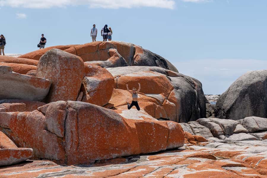 From Hobart: 5-Day Tasmania West & East Coast Tour - Why This West-and-East Tasmania Route Works in 5 Days
