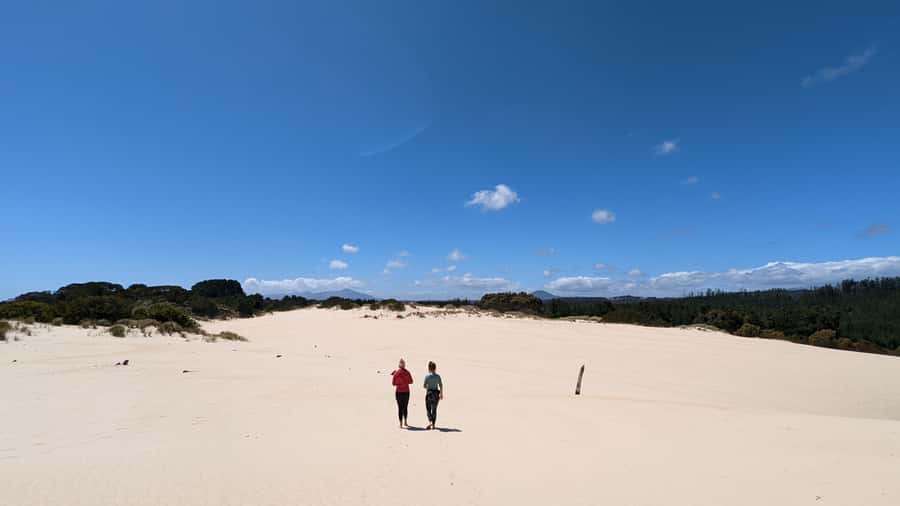 From Hobart: 5-Day Tasmania West & East Coast Tour - Price and Value: What You Get for $683