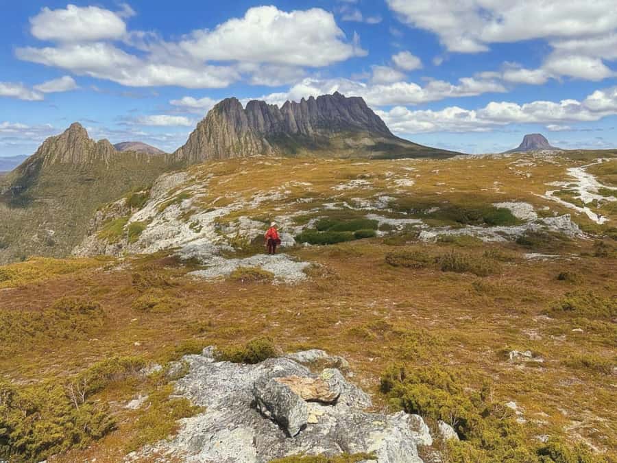 From Hobart: Active Day Trip to Cradle Mountain - Weather-Proof Nature: How the Tour Handles Rain, Snow, and Cold