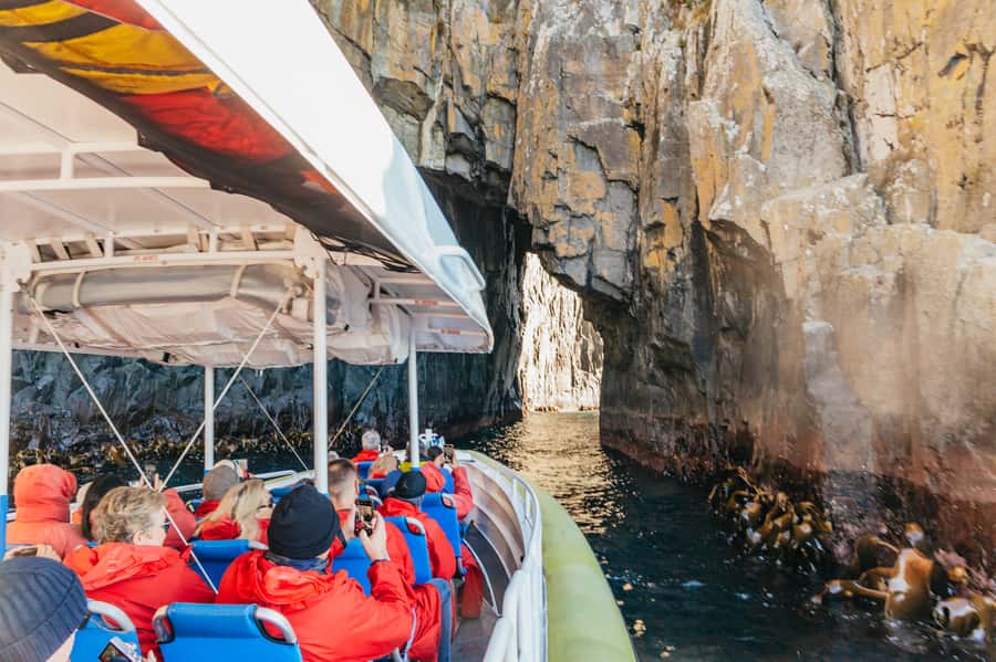 From Hobart/Adventure Bay: Bruny Island Wilderness Cruise - Key highlights worth choosing this for