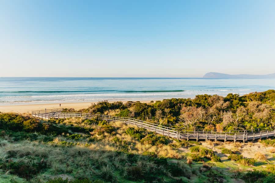 From Hobart/Adventure Bay: Bruny Island Wilderness Cruise - Price and value: does $127 make sense for what you get?