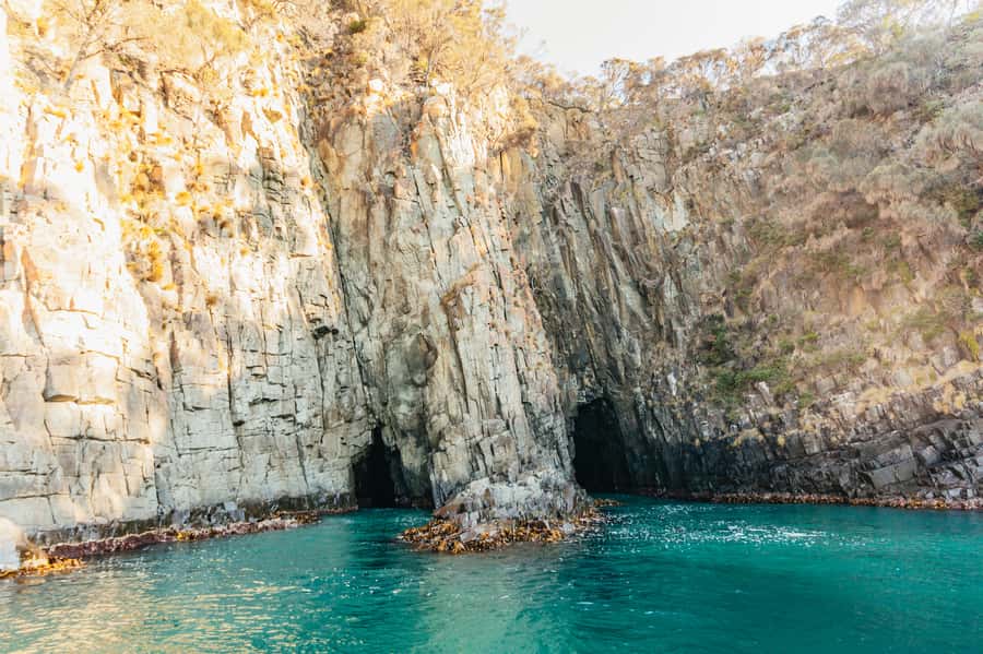 From Hobart/Adventure Bay: Bruny Island Wilderness Cruise - Getting from Hobart to Adventure Bay on time (and why it matters)