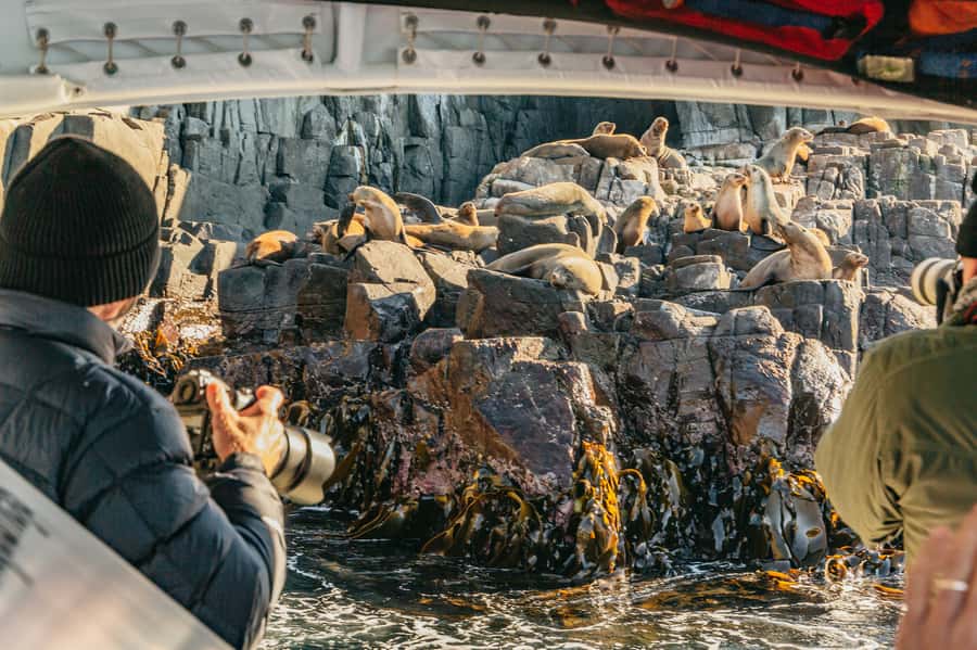 From Hobart/Adventure Bay: Bruny Island Wilderness Cruise - Breathing Rock, sea caves, and The Monument: the coastline you can’t see from shore