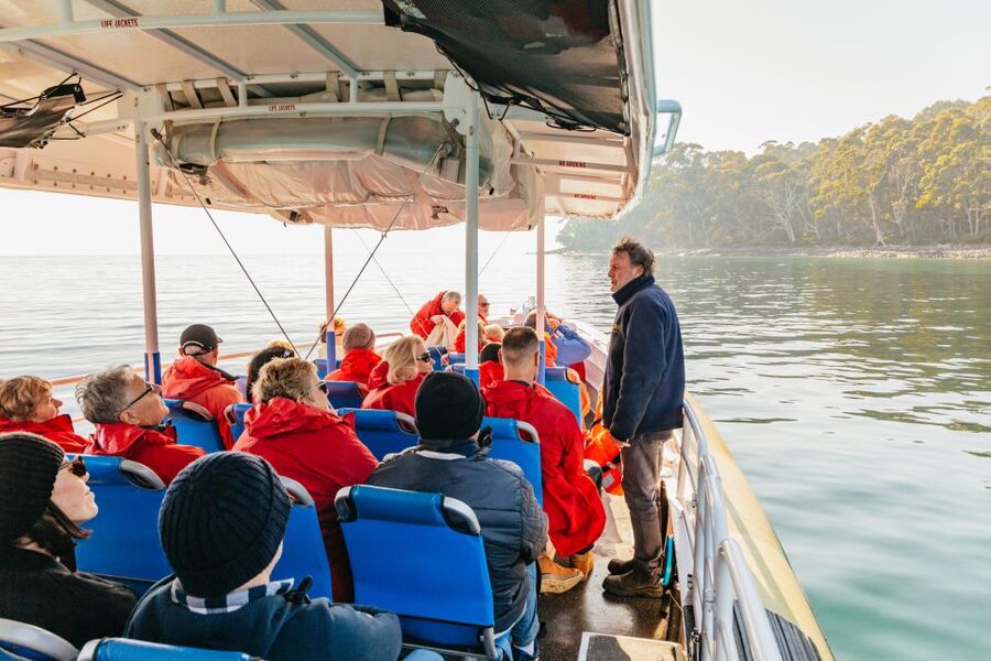 From Hobart/Adventure Bay: Bruny Island Wilderness Cruise - Wildlife spotting that’s guided, not random