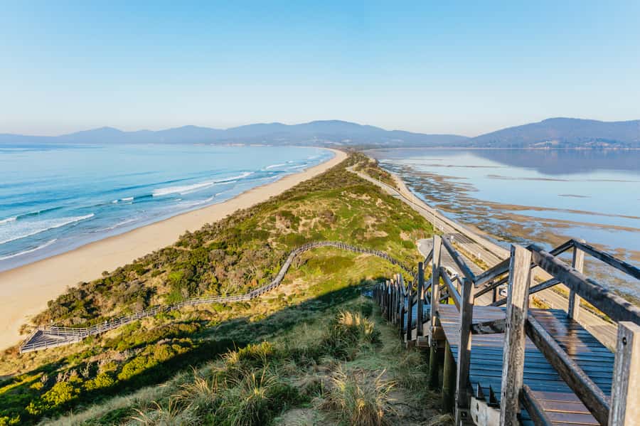 From Hobart/Adventure Bay: Bruny Island Wilderness Cruise - The boat setup: why the yellow speedboat feels like the right tool