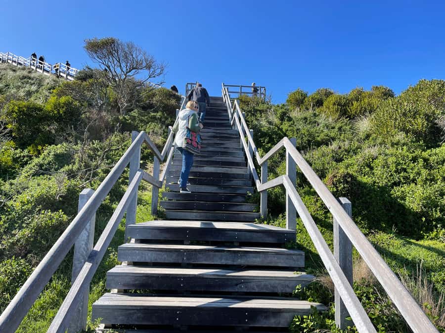 From Hobart: Bruny Island Nature & Produce Adventure Tour - Why Bruny Island feels different right after the ferry