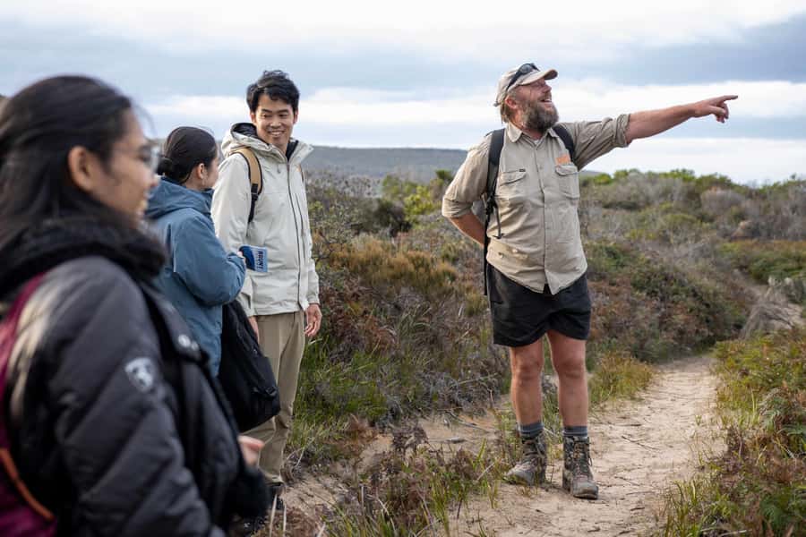 From Hobart: Bruny Island Nature & Produce Adventure Tour - Truganini Lookout and the 279-step reality check