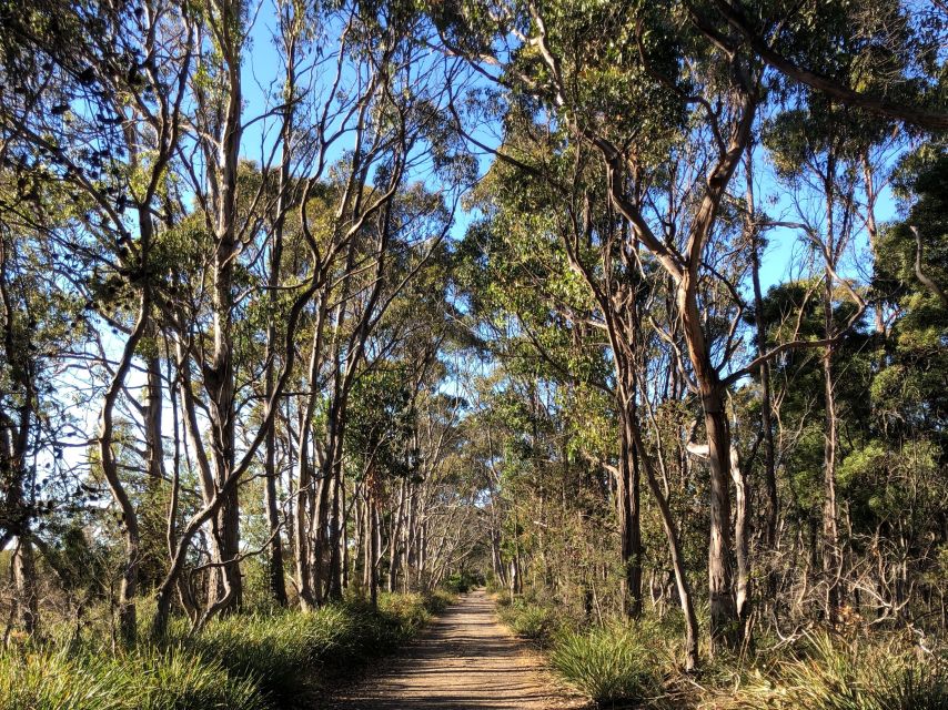 From Hobart: Bruny Island Nature & Produce Adventure Tour - Two Tree Point, Resolution Creek, and Coal Point history stops