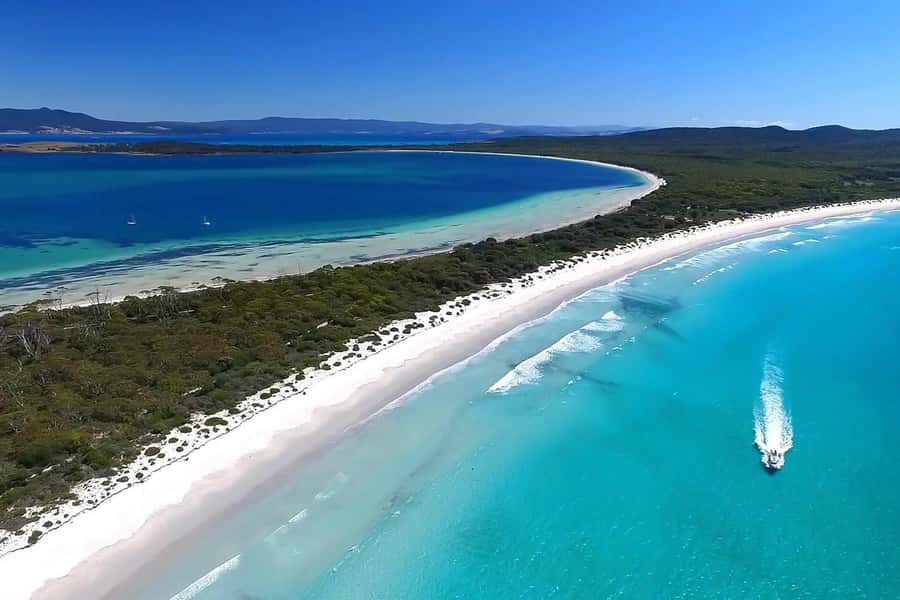 From Hobart: Day Tour to Maria Island with Bus Connection - Key things I’d note before you go