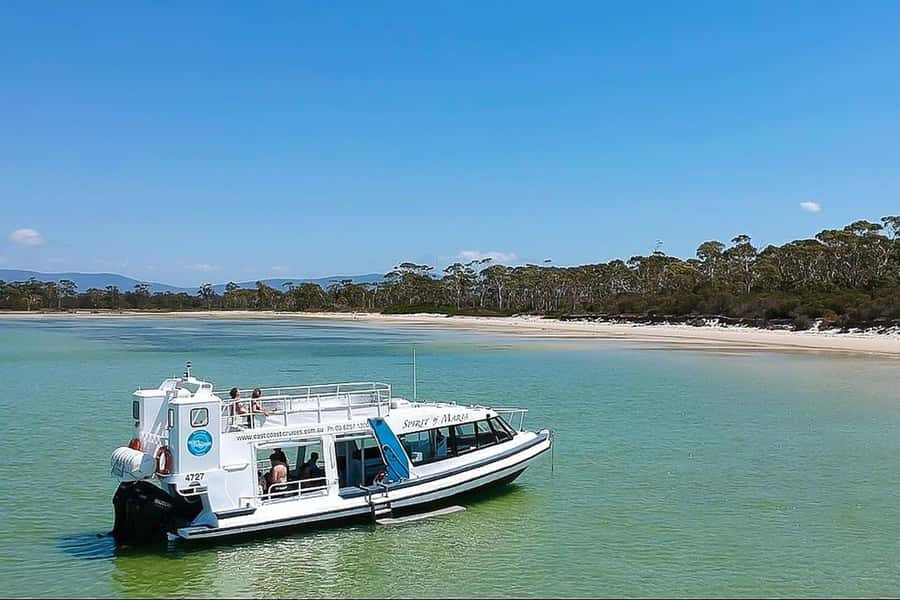 From Hobart: Day Tour to Maria Island with Bus Connection - From Hobart to Triabunna: Getting to the water the easy way